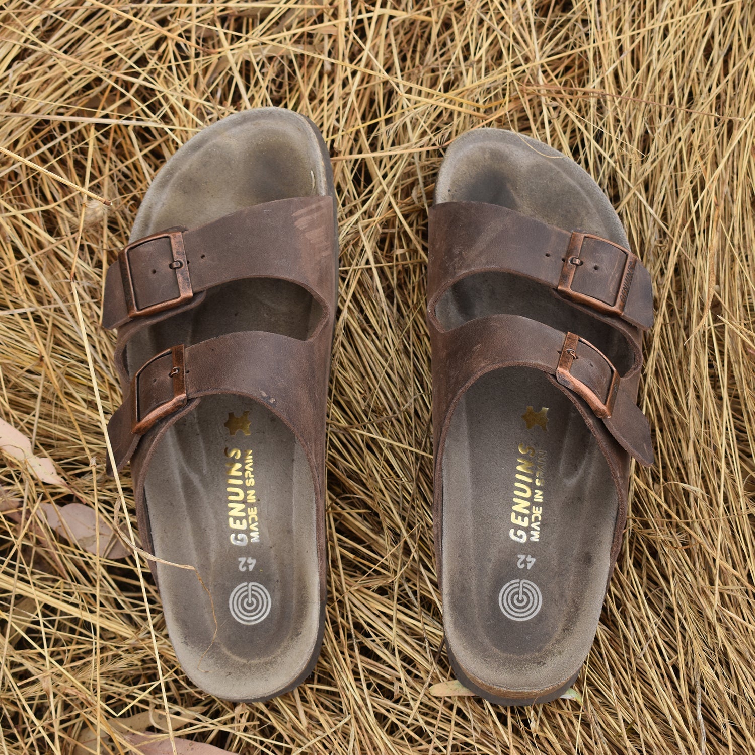 Brown leather sandal with double foot strap on dry grass